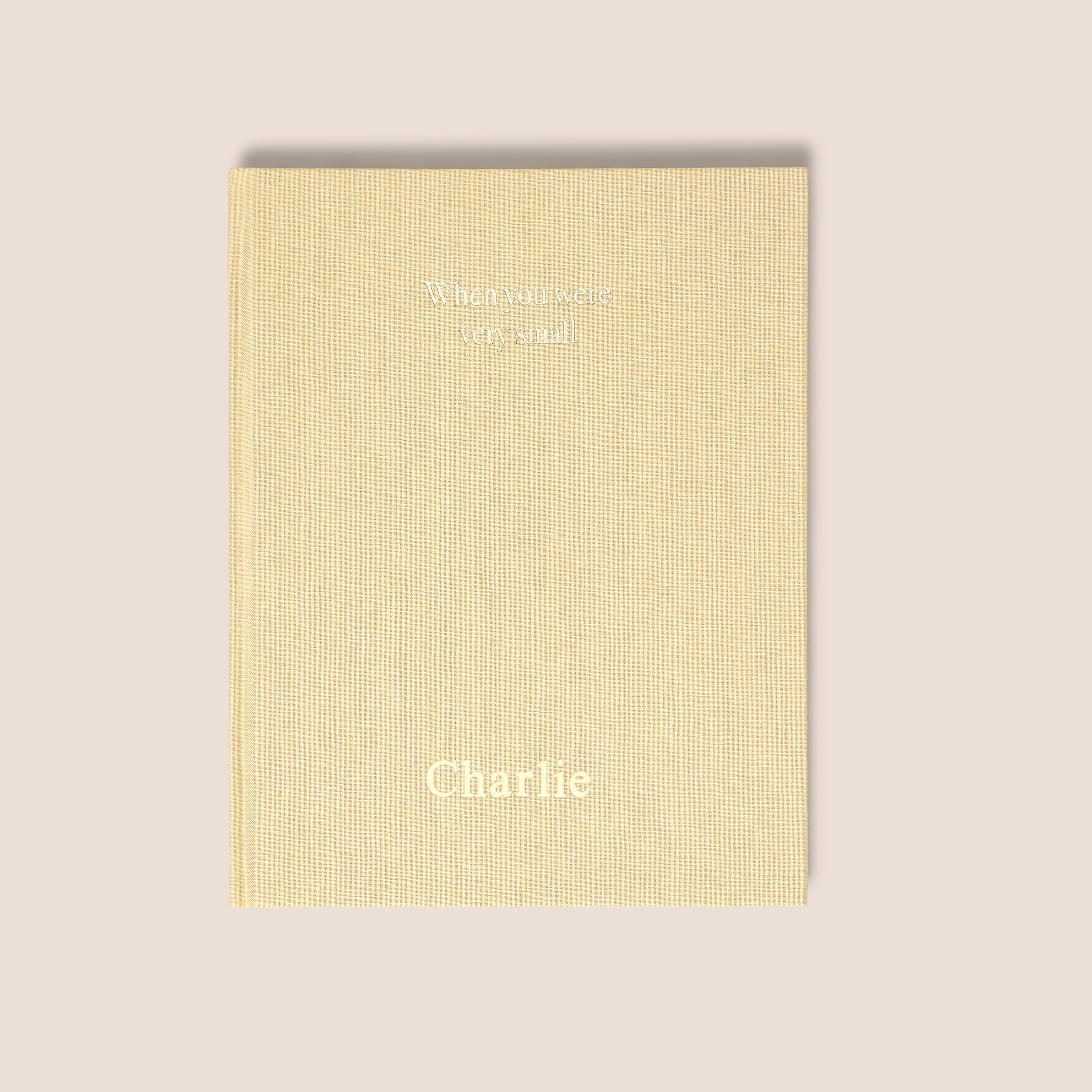 when you were small | a record book in sand