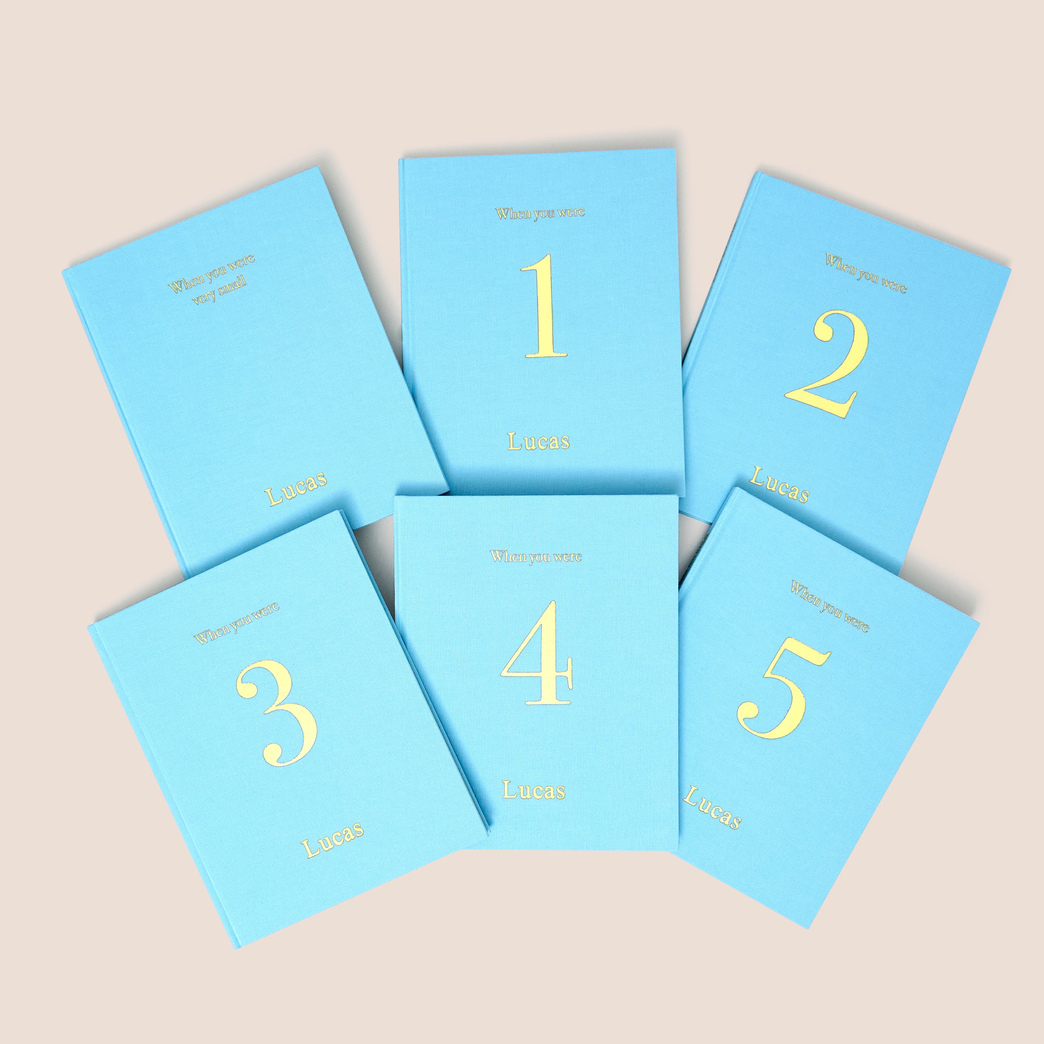 when you were the set | 6 memory books in blue