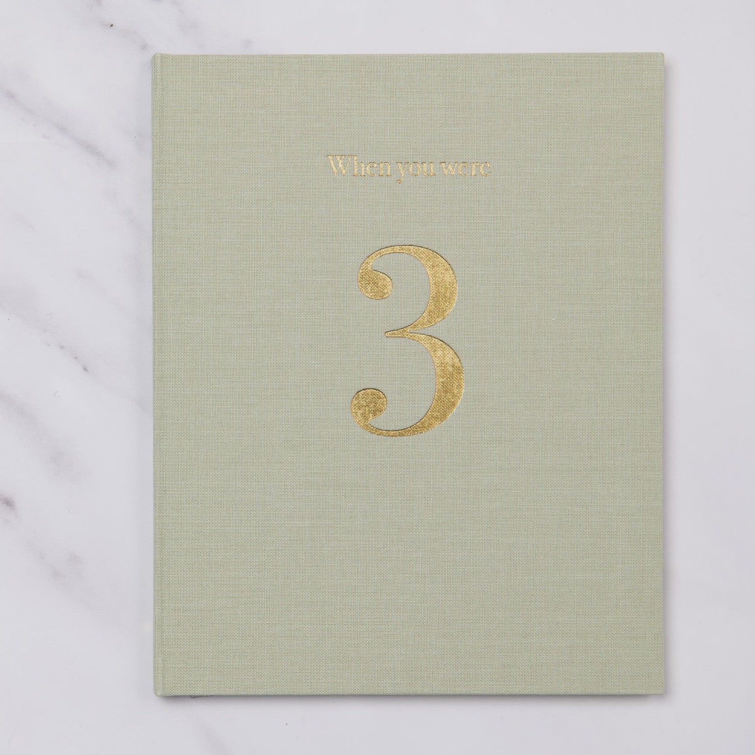 when you were 3 | a record book in blue