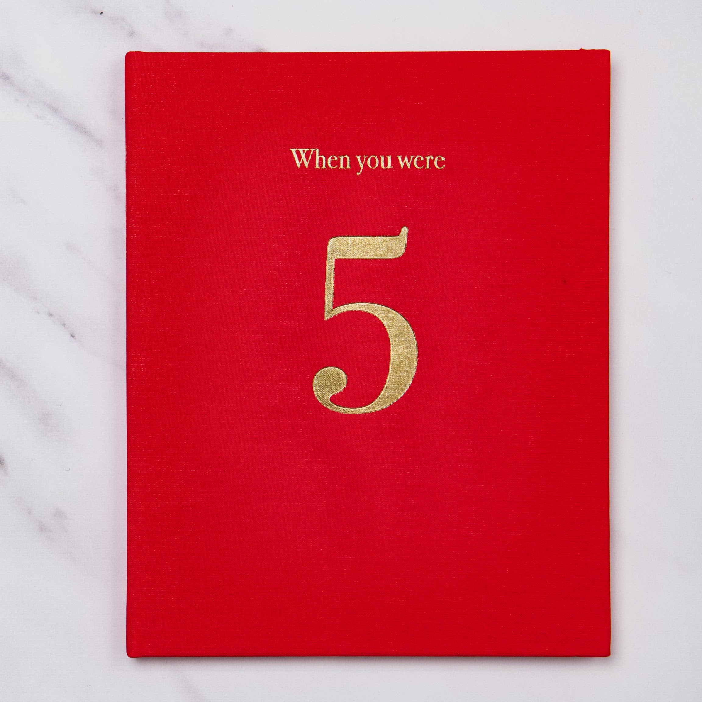when you were 5 | a record book in pink