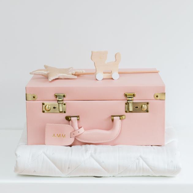Memory Case in Blush Pink | Meminio Memory Cases