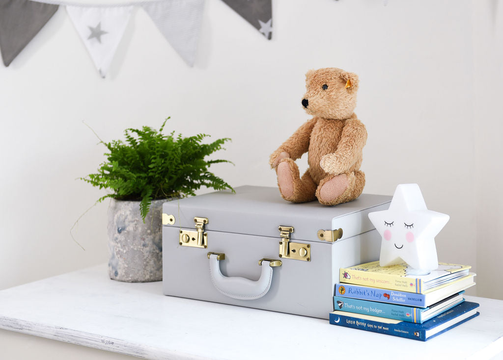 Memory Case in Grey | Meminio Memory Cases