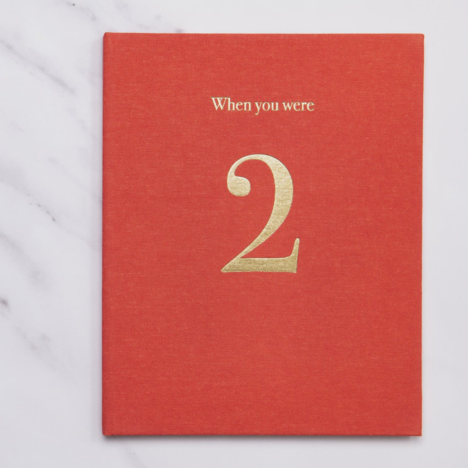when you were 2 | a record book in blue