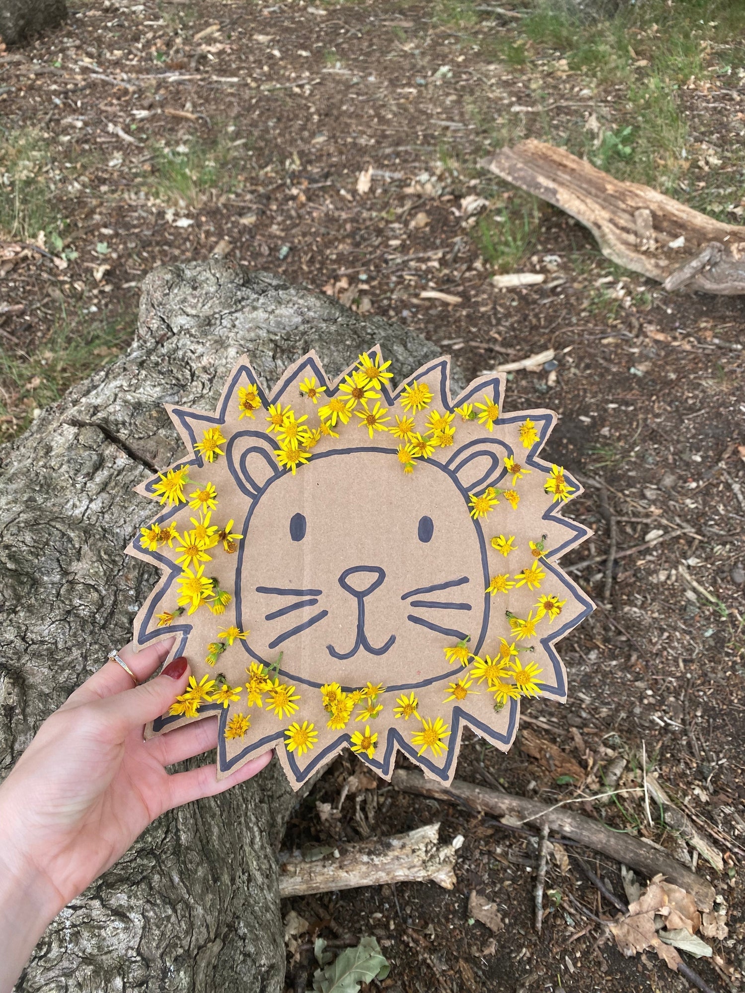 Turn Summer Into a Story They’ll Tell Forever – With Our Cool and Unforgettable Activities