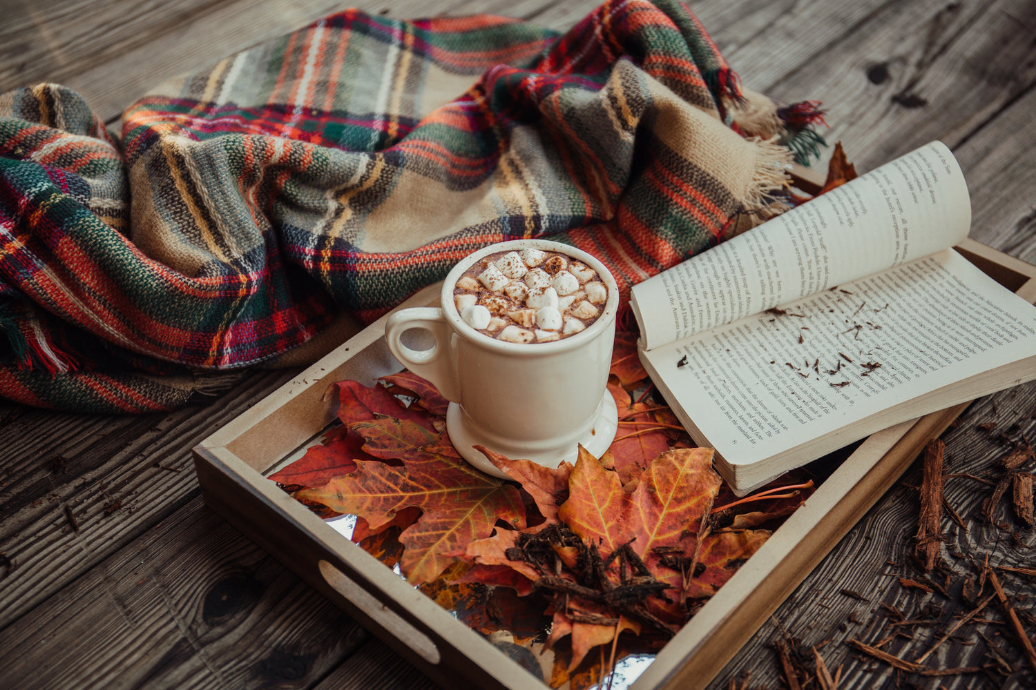 what does autumn mean to you?