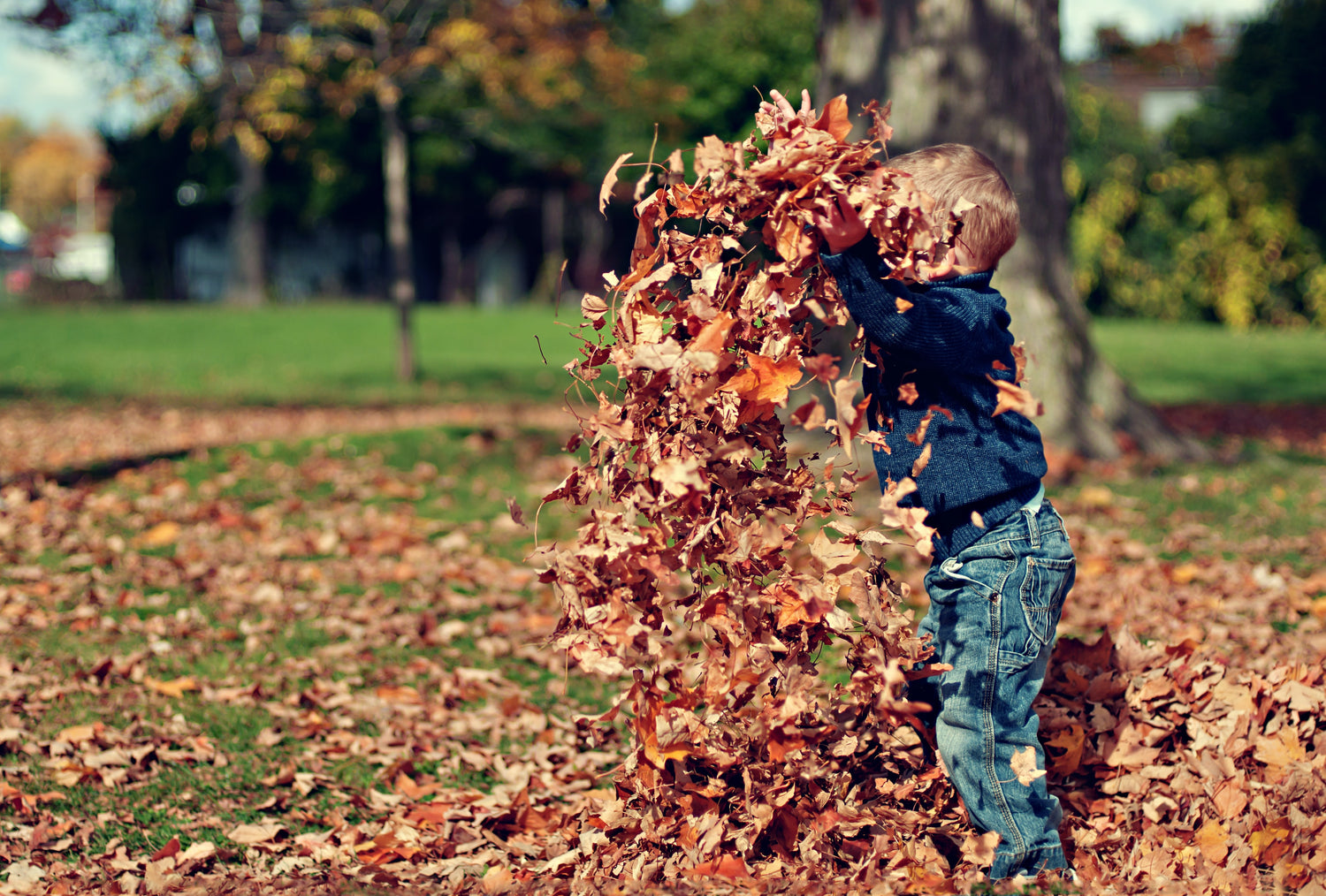 Unique Half-Term Activity Ideas