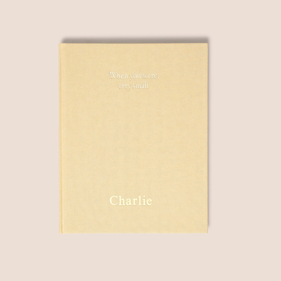 when you were small | a record book in sand