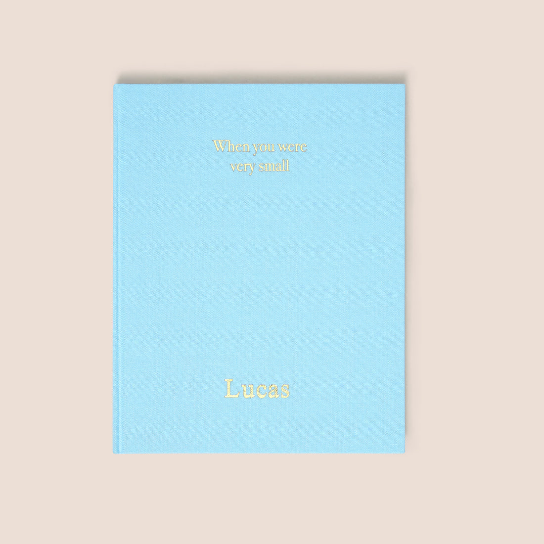 when you were small | a record book in blue