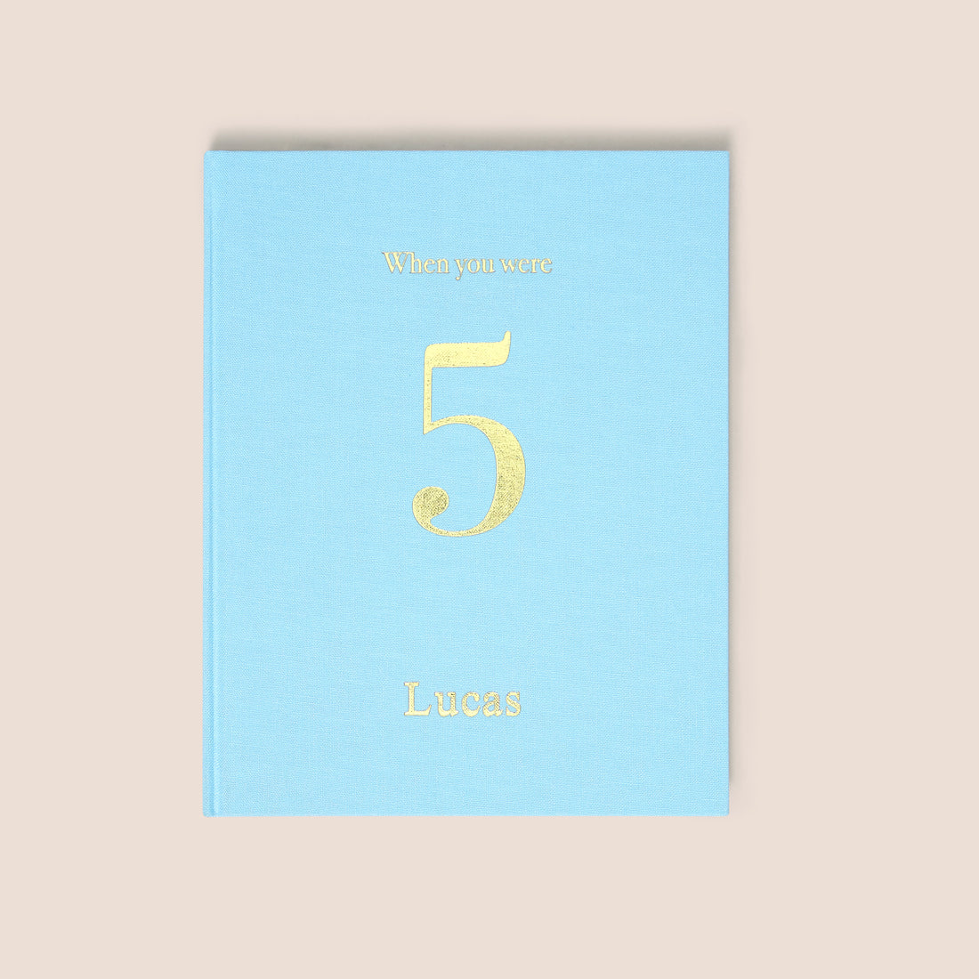 when you were 5 | a record book in blue