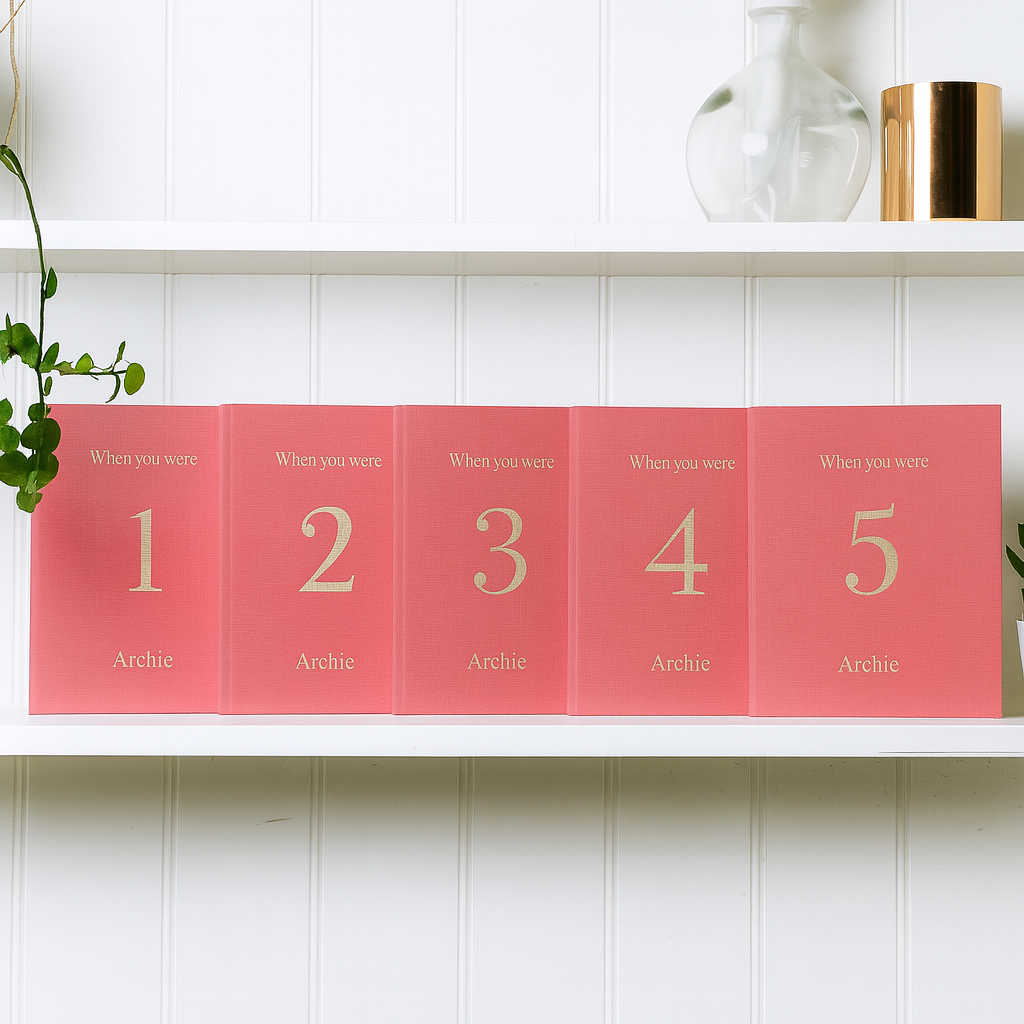 when you were the set | 6 memory books in pink