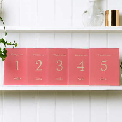when you were the set | 6 memory books in pink