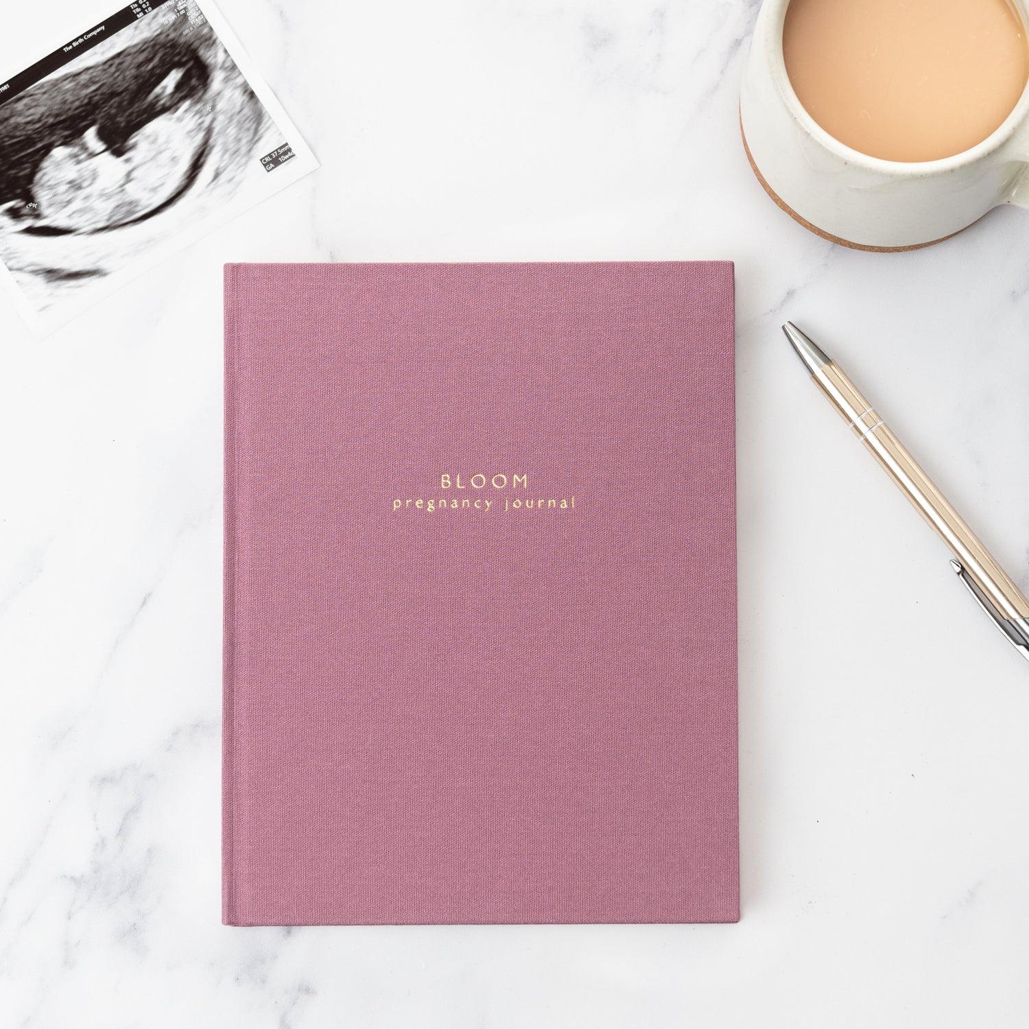 bloom | my pregnancy story | a memory book for your pregnancy journey
