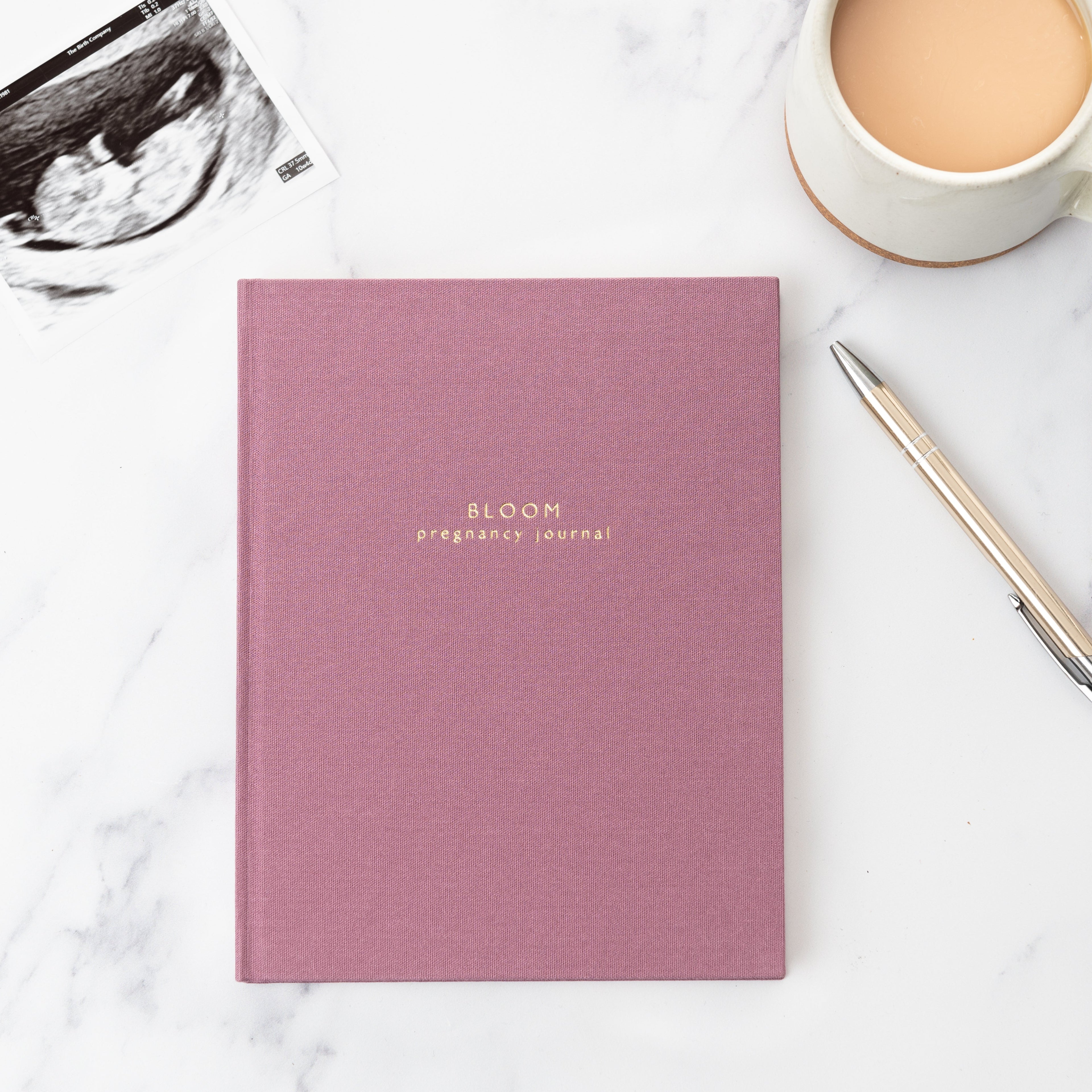bloom | my pregnancy story | a memory book for your pregnancy journey