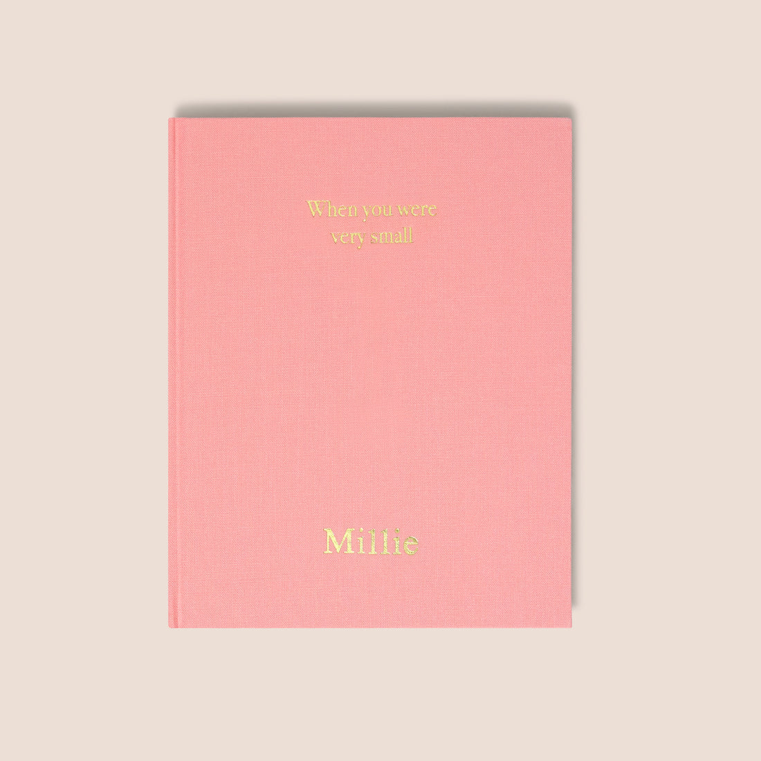 when you were small | a record book in pink