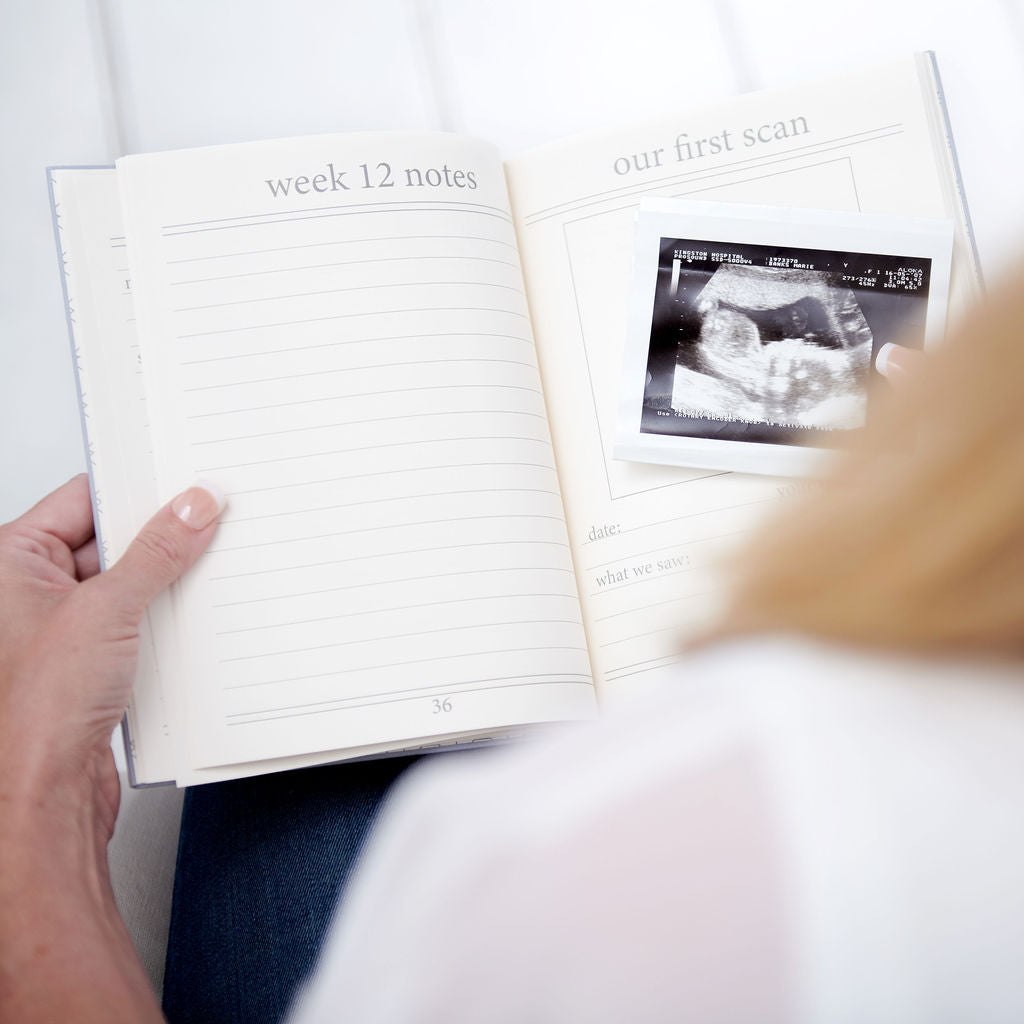 bloom | my pregnancy story | a memory book for your pregnancy journey