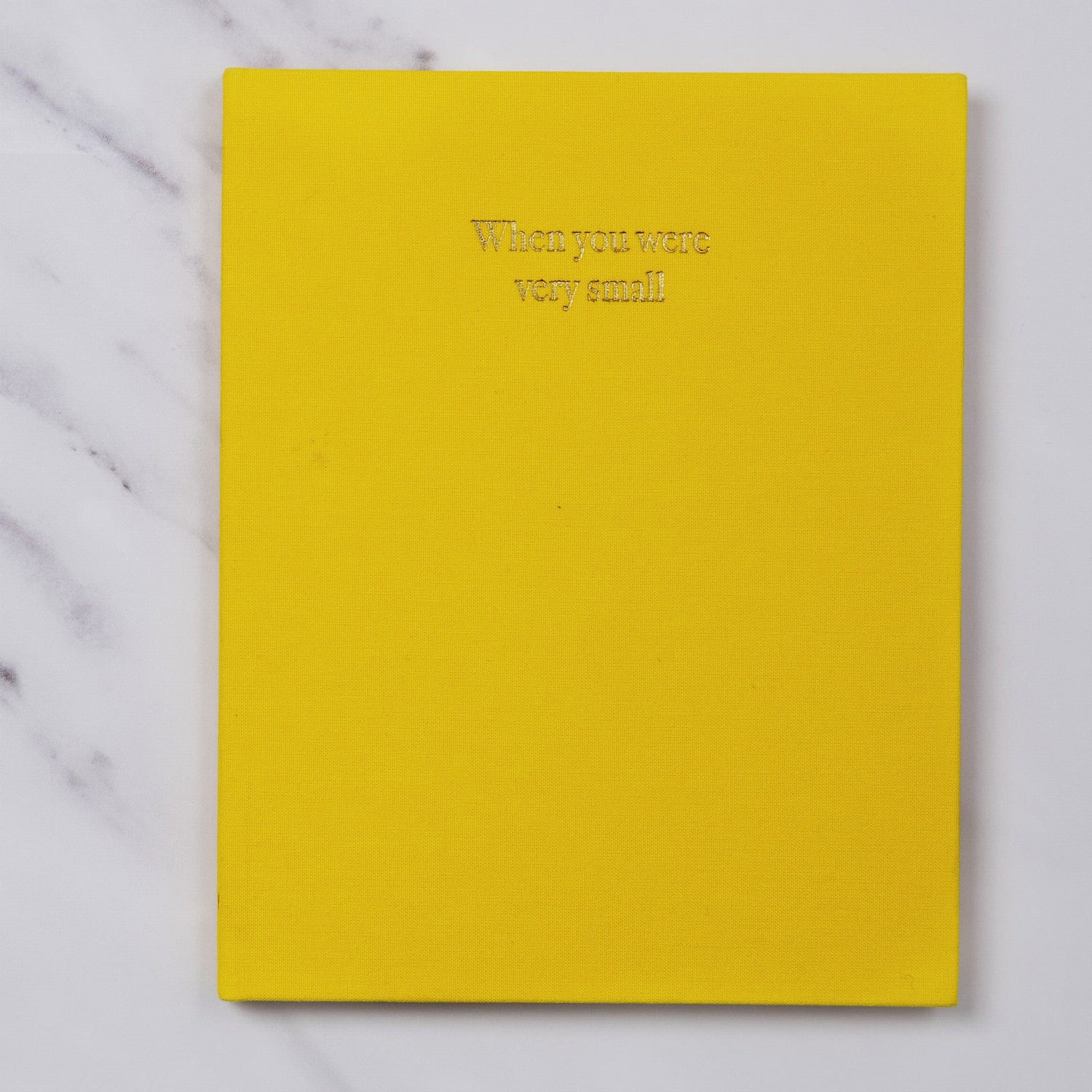 when you were small | a record book in blue
