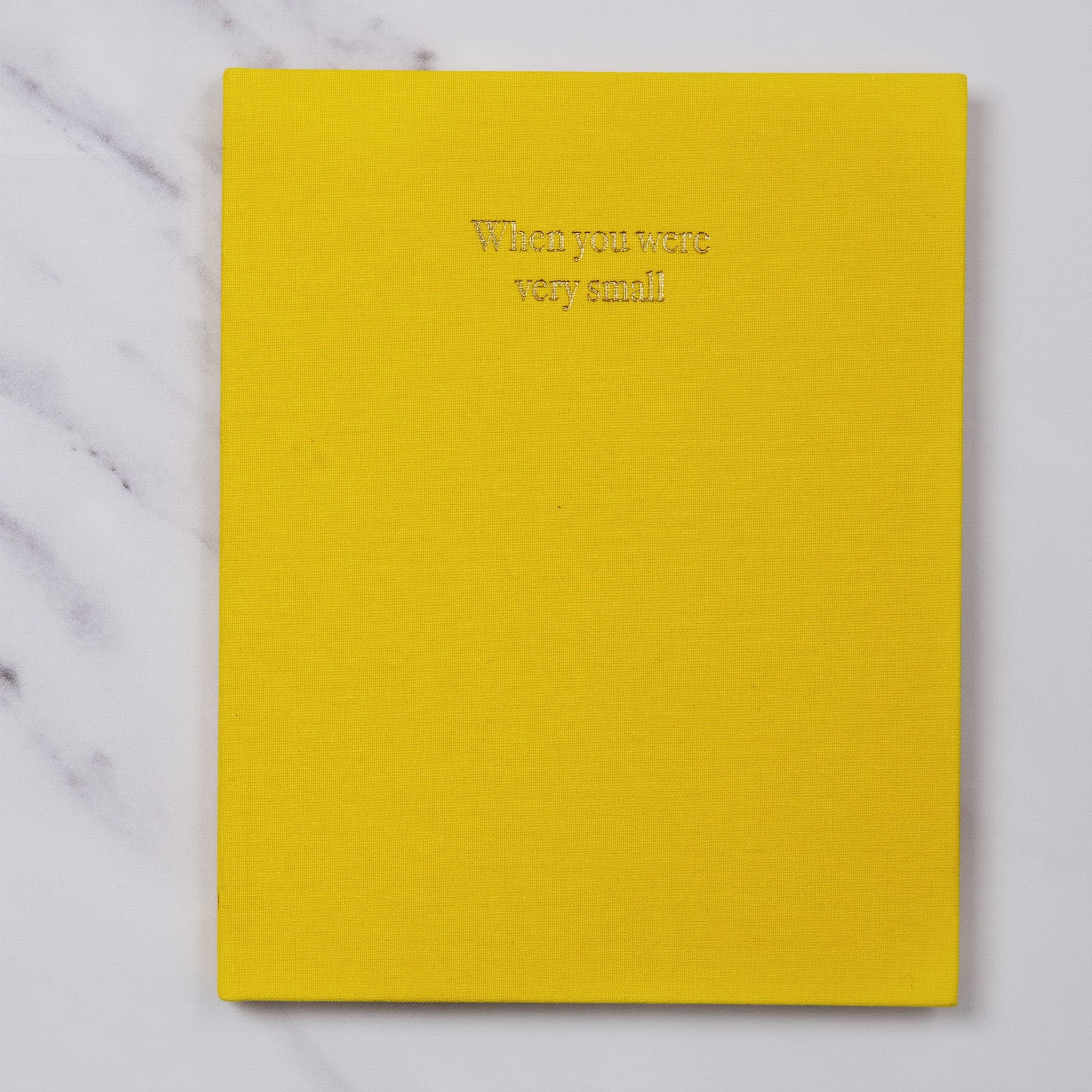 when you were small | a record book in blue